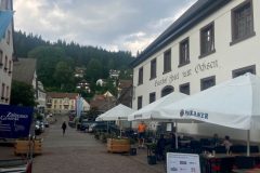 Schwarzwaldtour150623-48